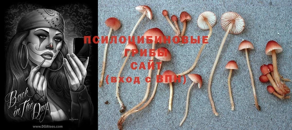 mdma Абаза
