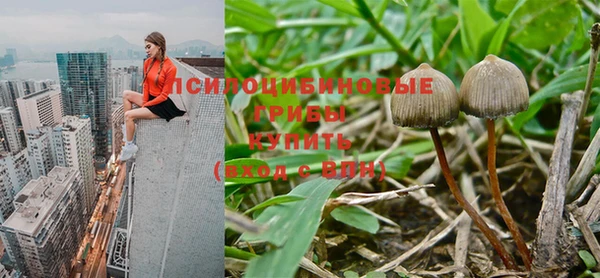 MESCALINE Тайга