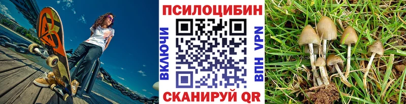 Псилоцибиновые грибы ЛСД  hydra ССЫЛКА  shop Telegram  где можно купить наркотик  Нальчик 